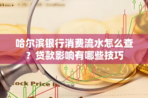 哈尔滨银行消费流水怎么查?贷款影响有哪些技巧